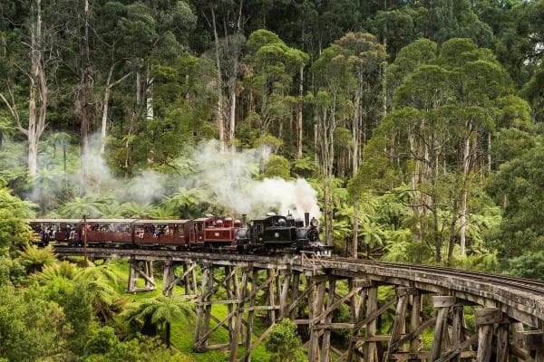 澳洲普芬比利鐵路車票|Puffing Billy Railway Tickets相片 2