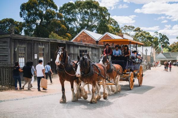 墨爾本 | 疏芬山 (Sovereign Hill) 門票相片 3