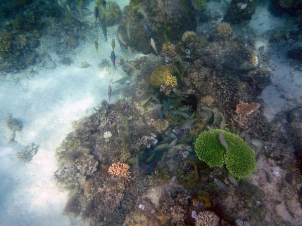 【菲律賓】愛妮島環島遊 行程D:小潟湖、卡德勞潟湖、Pasadigan Cove、娜娜海灘相片 3