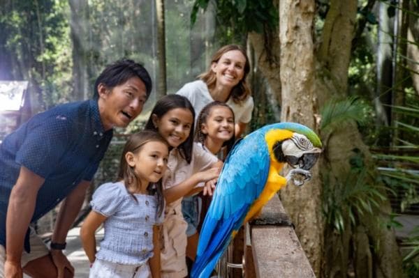 澳洲黃金海岸 | 可倫賓野生動物保護區 Currumbin Wildlife Sanctuary 門票相片 2