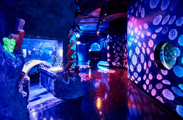 澳洲墨爾本水族館門票 SEA LIFE Melbourne相片 2