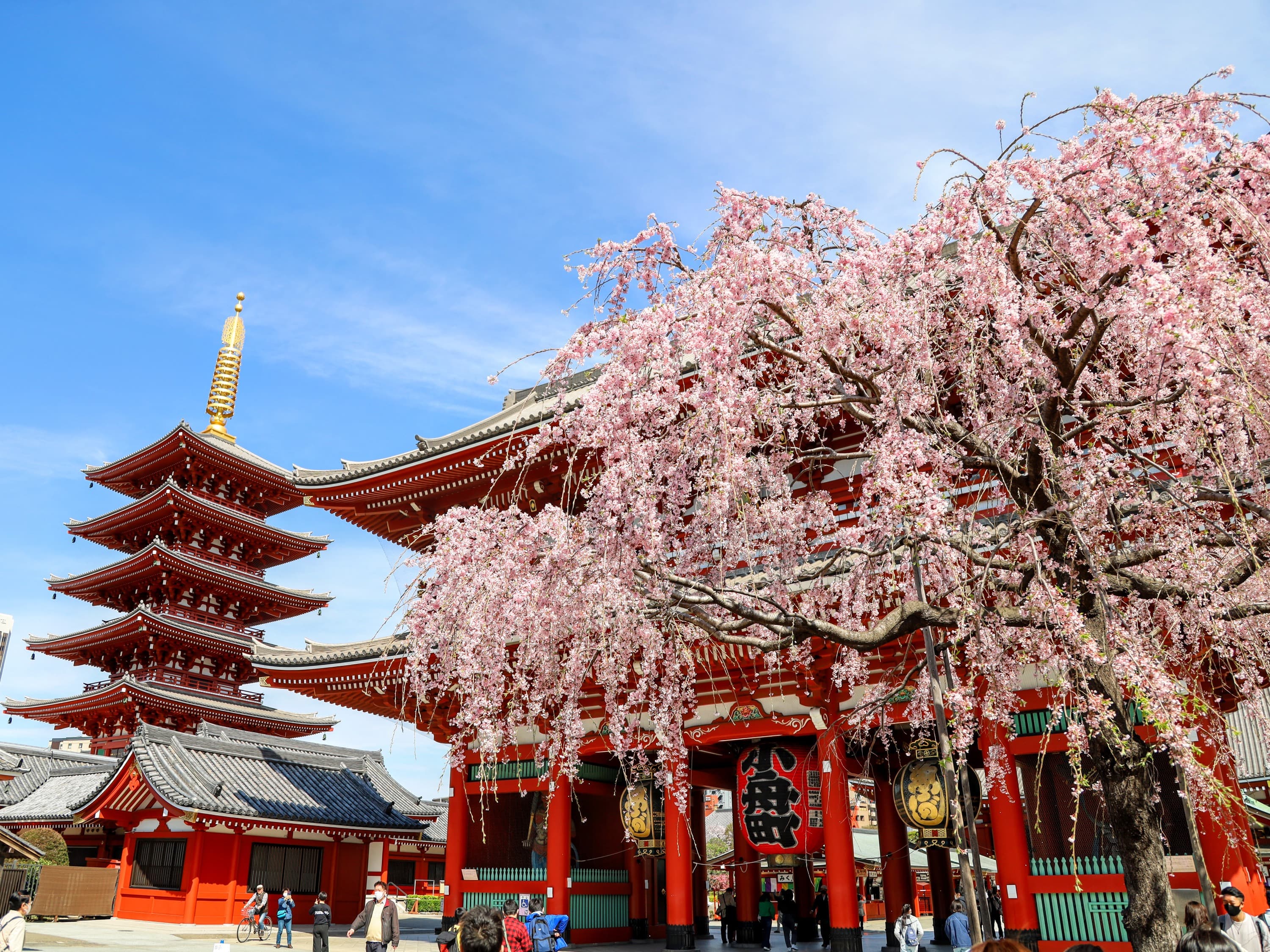 東京觀光巴士一日遊（專業導遊隨行）