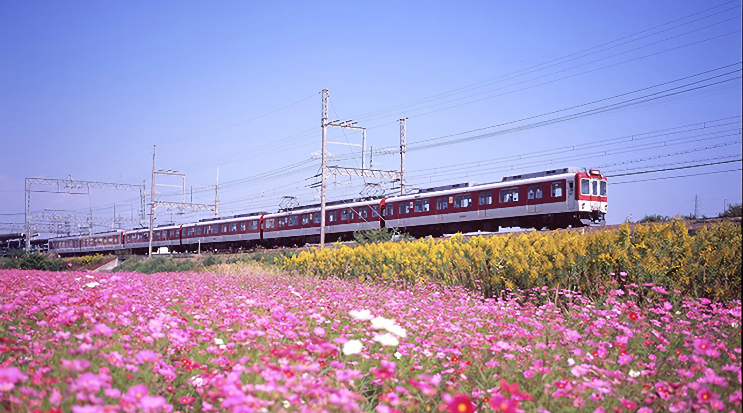 日本關西近鐵電車周遊券（1日 / 2日 / 5日 / 5日Plus）相片 3