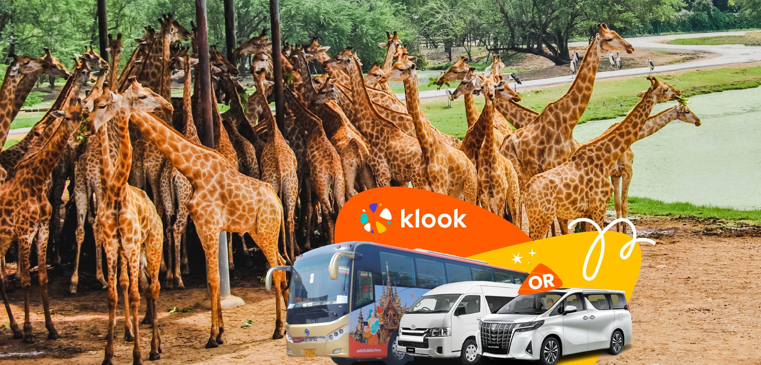 曼谷賽佛瑞野生動物園共乘／包車接送