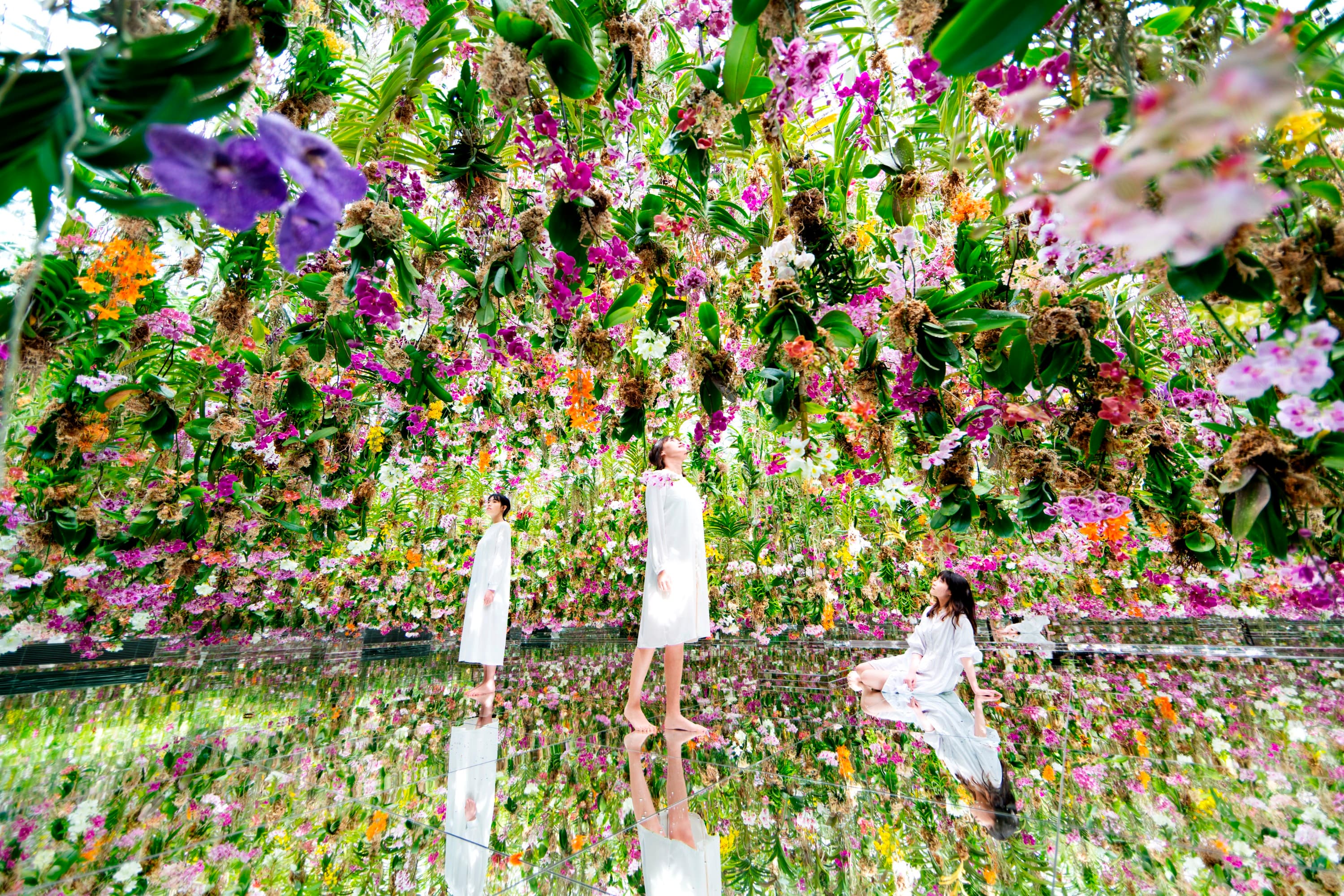 東京豐洲 teamLab Planets TOKYO 門票