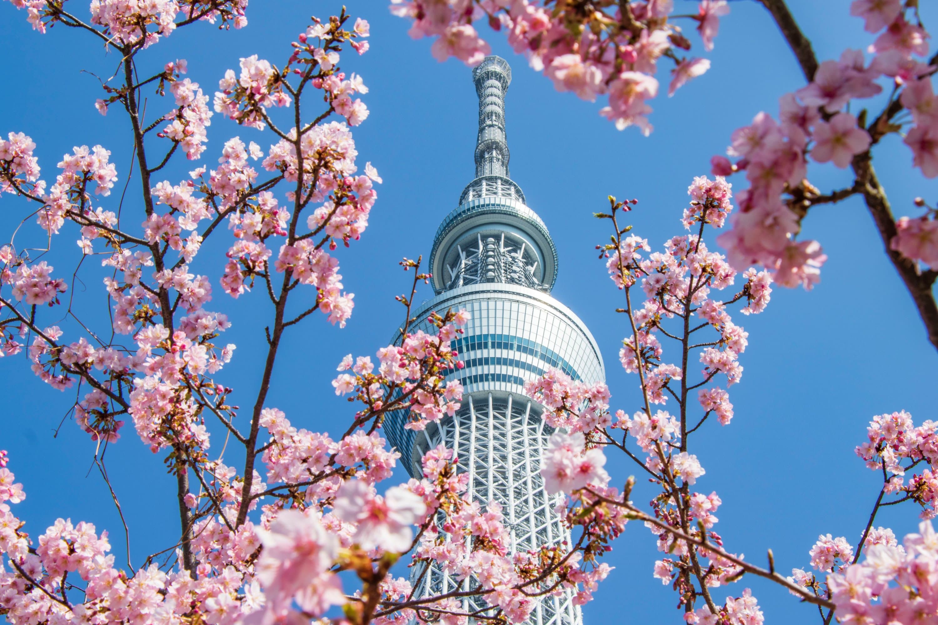 東京晴空塔門票相片 3