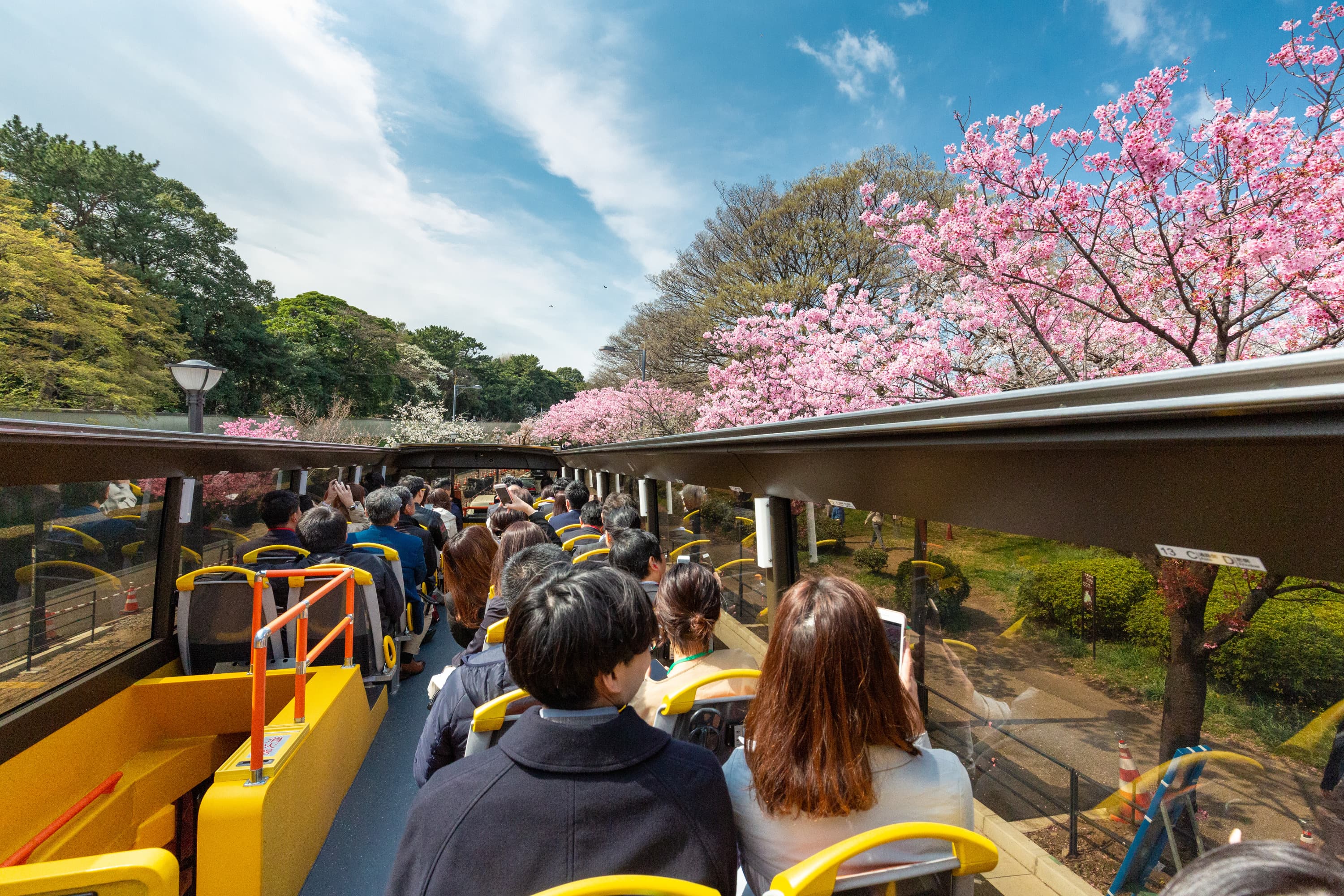 東京城市開篷巴士觀光之旅