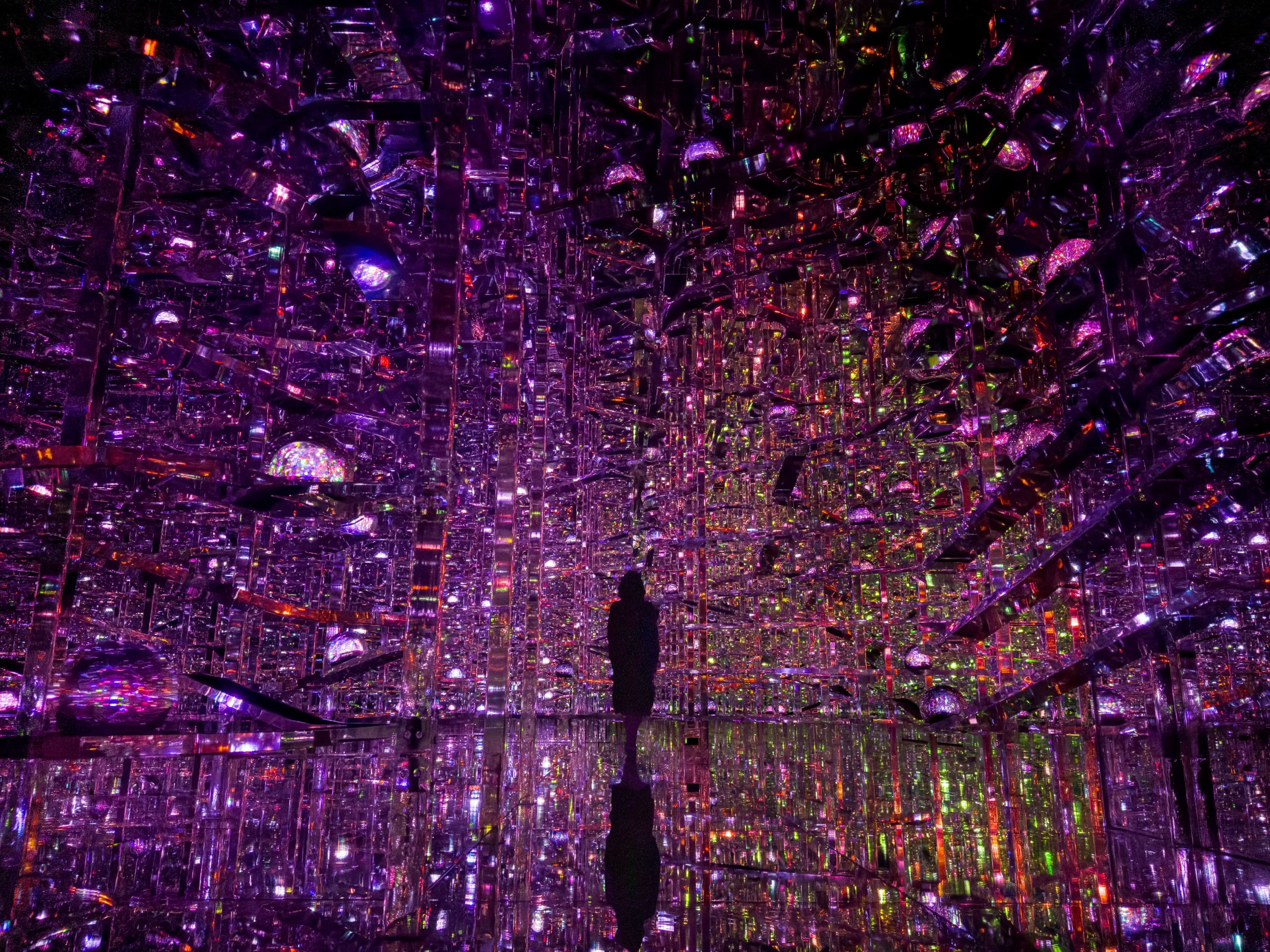 teamLab 無界美術館門票：森大廈數碼藝術美術館相片 2
